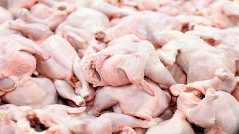 اتحادیه: فروش مرغ بالاتر از کیلویی ۶۳ هزار تومان تخلف است/ مرغداران قیمت مصوب را رعایت نمی‌کنند