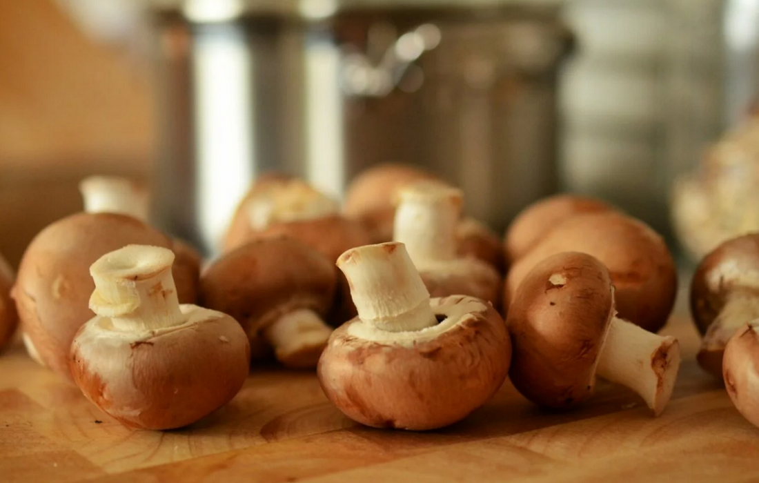 چرا بهتر است قارچ بیشتری مصرف کنیم؟