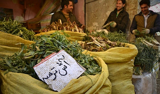 گونه‌های گیاهی آذربایجان غربی در معرض نابودی قرار گرفته است / ممنوعیت خرید و فروش گیاهان مرتعی خوراکی در استان