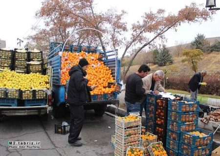 ۷۷ درصد تبریزی‌ها خواستار جمع آوری وانت‌بارها از شهرداری شدند