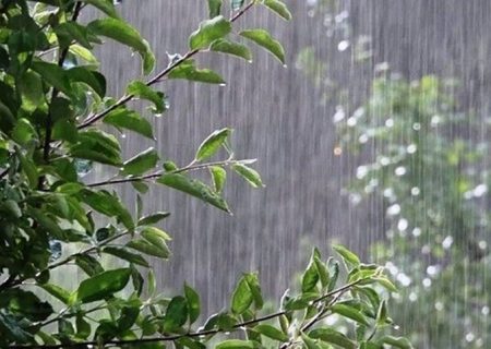 هریس با ۵۵ میلی‌متر رکوردار بارش در آذربایجان‌شرقی