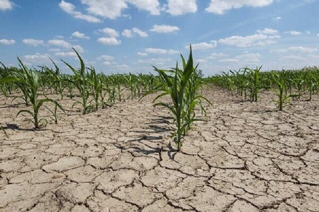 تغییر اقلیم کشاورزی اردبیل را تحت تاثیر قرار داده است/ خشکسالی پدیده موقت و گذرا نیست
