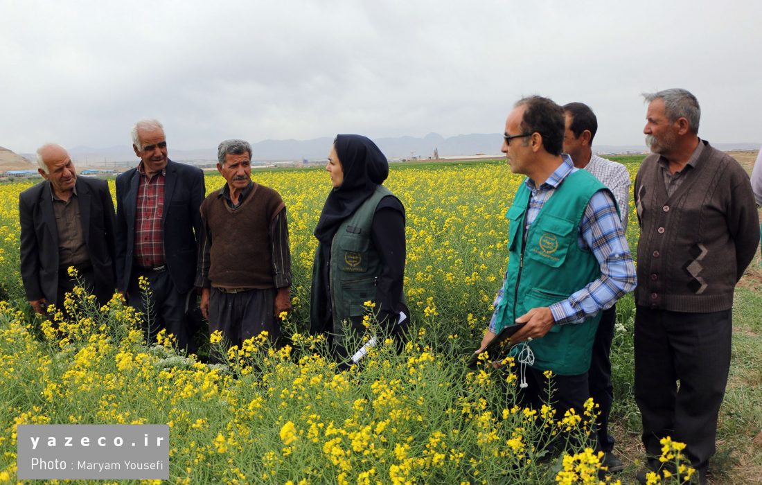 چهارمین کاروان ترویجی الگوی کشت محصولات زراعی در آذربایجان شرقی برگزار شد
