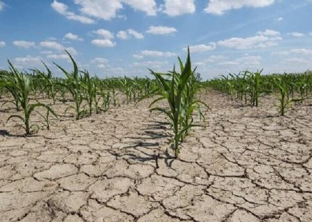 ۵۶ درصد از مساحت آذربایجان غربی دچار خشکسالی بسیار شدید است