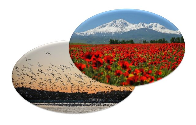 سد میل مغان در کنوانسیون بین‌المللی ثبت می‌شود/ اهمیت محیط‌زیستی ثبت جهانی کوه سبلان