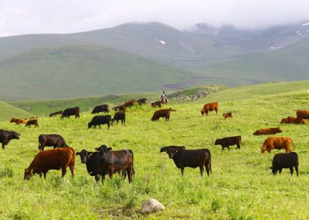 آثار پروژه مشترک کشاورزی ترکیه- آذربایجان
