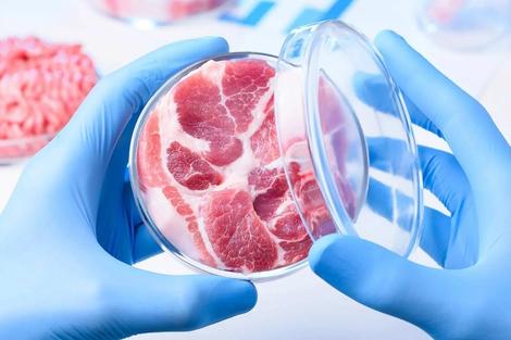 گوشت مصنوعی چیست و چگونه تولید می‌شود ؟