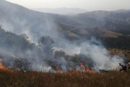 خسارت آتش به ۴۰ هکتار از مراتع و جنگل‌های ارسباران