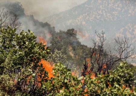 ۱۱۳ هکتار از مراتع و جنگل‌های آذربایجان غربی طعمه آتش شد