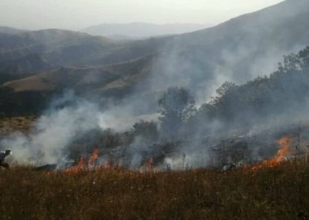 آخرین جزئیات از آتش سوزی در منطقه جنگلی «ونستان و چایکندی» ارسباران