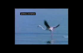 دریاچه ارومیه در اواخر دهه ۱۹۶۰ در یک مستند قدیمی آمریکایی