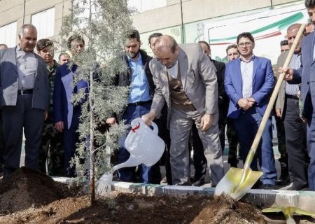 جزئیات اجرای طرح کاشت یک میلیارد درخت در آذربایجان شرقی