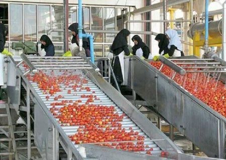 صنایع غذایی بیشترین تقاضای سرمایه‌گذاری در استان اردبیل را دارد