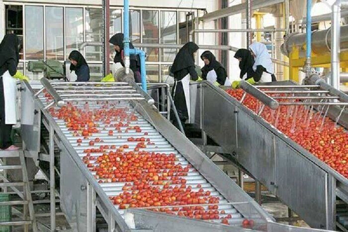 صنایع غذایی بیشترین تقاضای سرمایه‌گذاری در استان اردبیل را دارد