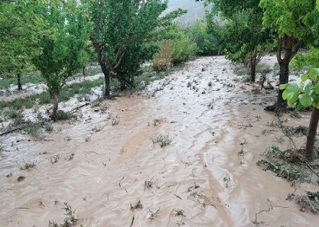 سیل به پنج روستای مشگین‌شهر خسارت زد