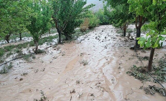 سیل به پنج روستای مشگین‌شهر خسارت زد