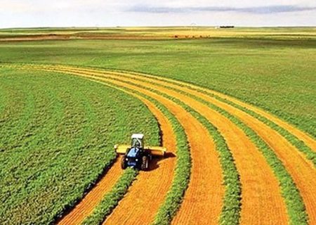 افزایش ۳۰ درصدی صادرات محصولات کشاورزی آذربایجان شرقی
