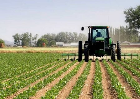 سهم ۱۸ درصدی بخش کشاورزی در اشتغال آذربایجان شرقی