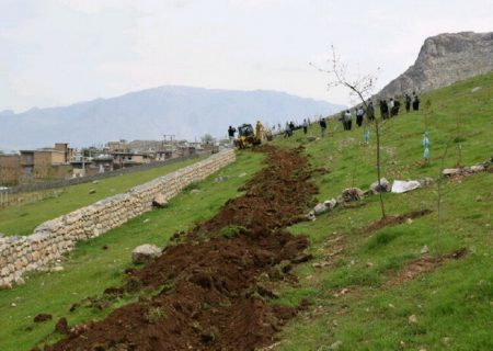 مراتع استان اردبیل در معرض تخریب