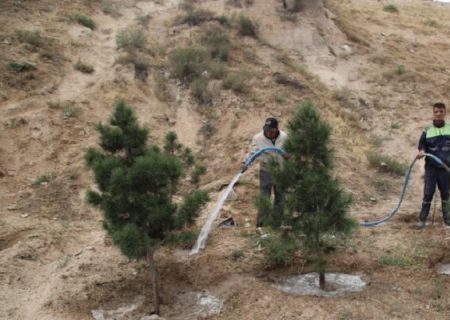 کاشت بیش از ۴ هزار و ۸۰۰ اصله درخت در جنوب غرب تبریز