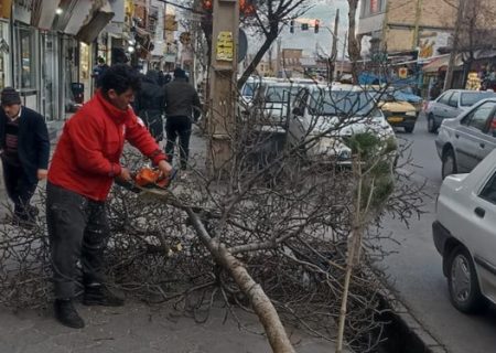 خسارت ۲۷۳ میلیارد تومانی تند باد در مشکین‌شهر