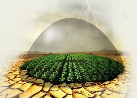 روند کاهشی بیمه اراضی کشاورزی در آذربایجان شرقی چالش استان است