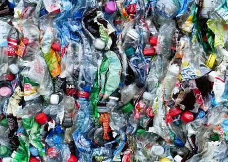شناسایی باکتری جدید برای بازیافت پلاستیک در لایپزیگ آلمان