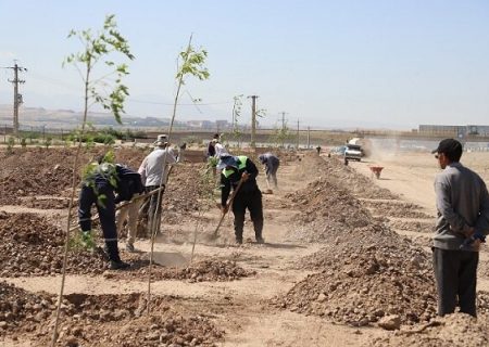 پیشرفت ۷۵ درصدی پروژه کاشت و توسعه فضای سبز کنارگذر غربی تبریز