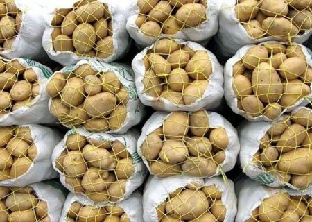 صادرات سیب‌زمینی به آذربایجان ضعیف است