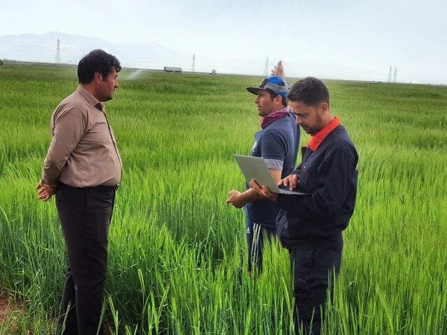 بیش‌از پنج هزار و ۲۷۵ هکتار کشت قراردادی در شهرستان تبریز ثبت شد