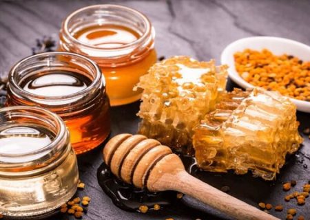 تولید بیش از ۲۲ درصد از عسل کشور در آذربایجان‌غربی