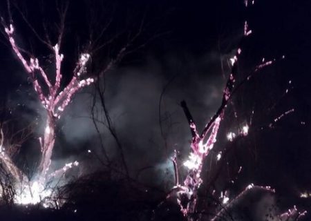 مهار آتش در اراضی شامات حاشیه رود ارس/ ۲ هکتار از اراضی شامات طعمه حریق شد
