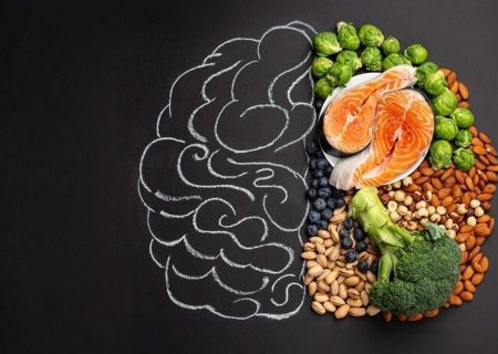 ۵ ماده غذایی مفید برای حفظ سلامت و حجم مغز