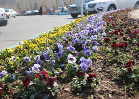 ستاد استقبال از بهار شهرداری منطقه ۷ آغاز بکار کرد