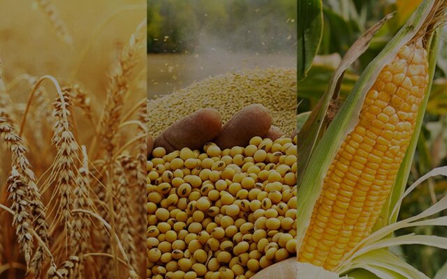 افزایش ۲۰ درصدی صادرات محصولات کشاورزی از آذربایجان‌شرقی