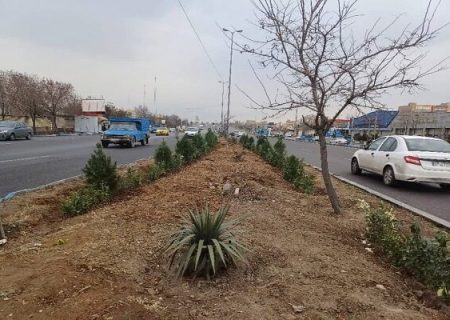 کاشت ۲۰۰ اصله کاج مشهد در رفوژ میانی کنارگذر دیزل‌آباد