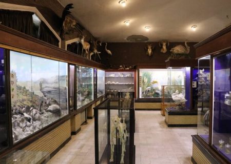 بازدید از موزه تاریخ طبیعی زنجان به مدت ۴ روز رایگان می‌شود