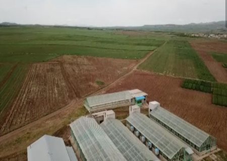 ایجاد سه پایگاه نوآوری جهش تولید زراعی در آذربایجان شرقی