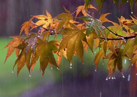 کاهش ۱۲.۷ درصدی بارندگی‌ها در زنجان نسبت به میانگین بلندمدت