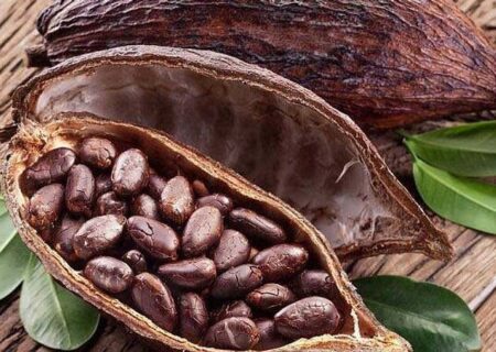 آنچه تاکنون برای ما لوکس بود برای دیگران هم لوکس شد/ قیمت جهانی کاکائو افزایش پیدا کرد