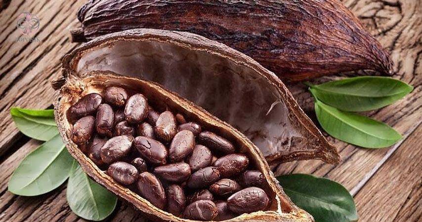 آنچه تاکنون برای ما لوکس بود برای دیگران هم لوکس شد/ قیمت جهانی کاکائو افزایش پیدا کرد