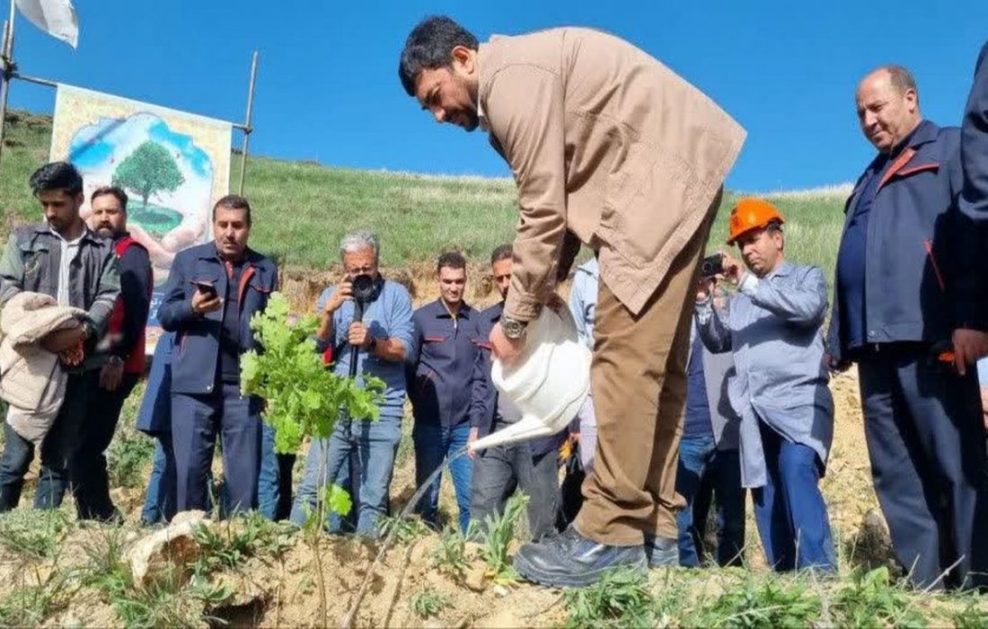 عملیات جنگل‌کاری ۴۰۰ هکتاری مس سونگون در ارسباران آغاز شد