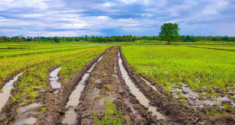 هشدار سازمان هواشناسی به کشاورزان به دنبال تداوم بارش‌ها