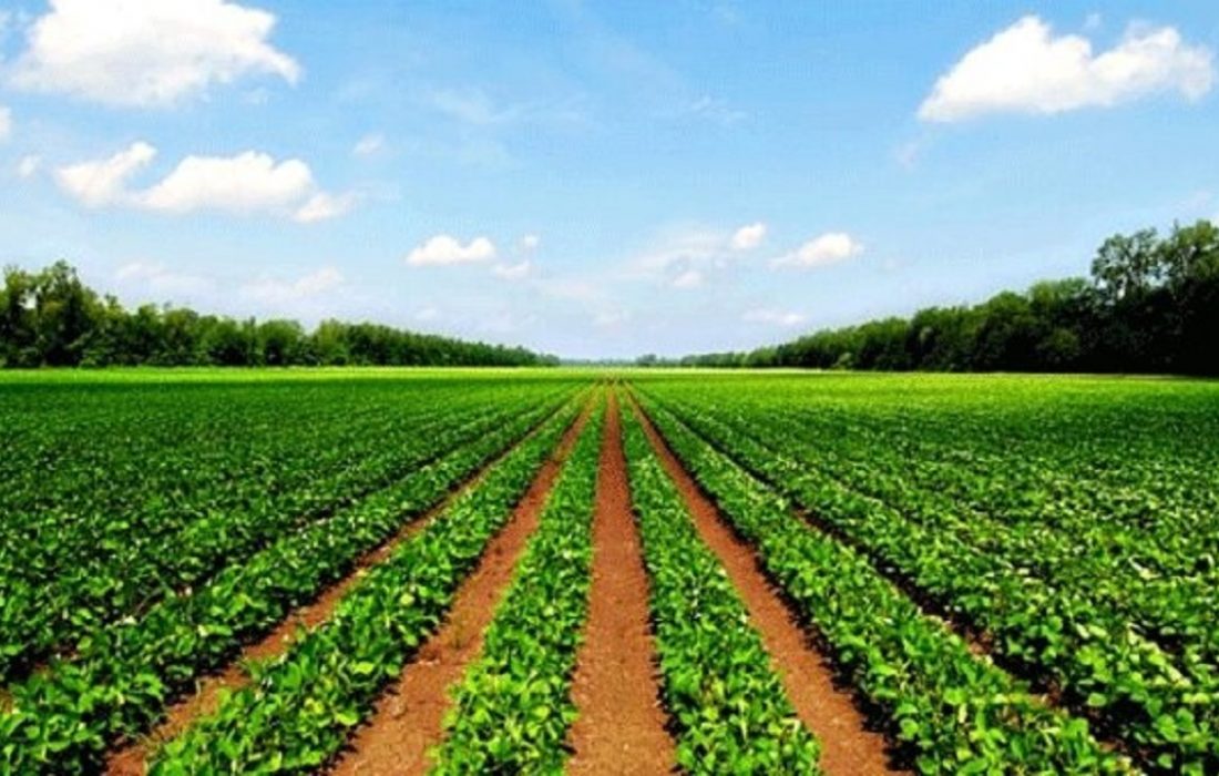 کسب رتبه برتر کشوری هریس در اجرای طرح حدنگاری اراضی کشاورزی