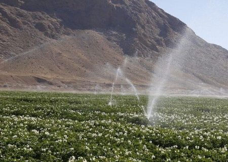 کشت دوم محصولات کشاورزی در مغان ممنوع شد