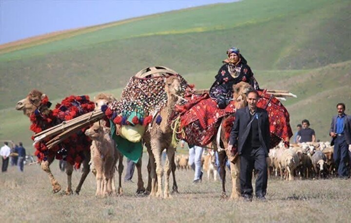 ورود دام به مراتع بدون پروانه مرتع داری جرم محسوب می شود