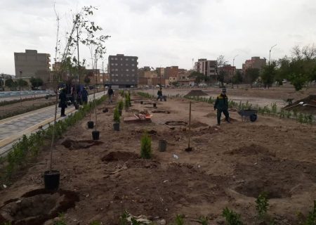 اقدام پسندیده شهروند تبریزی با کاشت ۱۰۰ اصله درخت در بوستان باغشمال تبریز