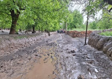 سیل به روستاهای خلخال و کوثر خسارت زد