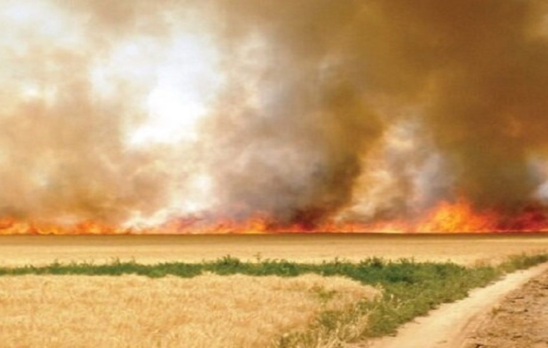 ممنوعیت آتش زدن مزارع بعد از برداشت محصول در آذربایجان شرقی