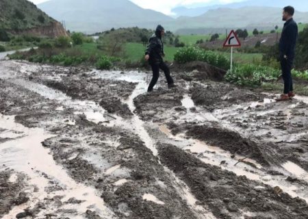 رگبار باران و سیل به ۲۰۰ هکتار از مزارع و باغ‌های خوی خسارت زد
